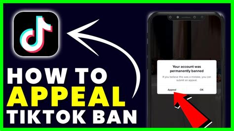 checking a ban appeal on tiktok